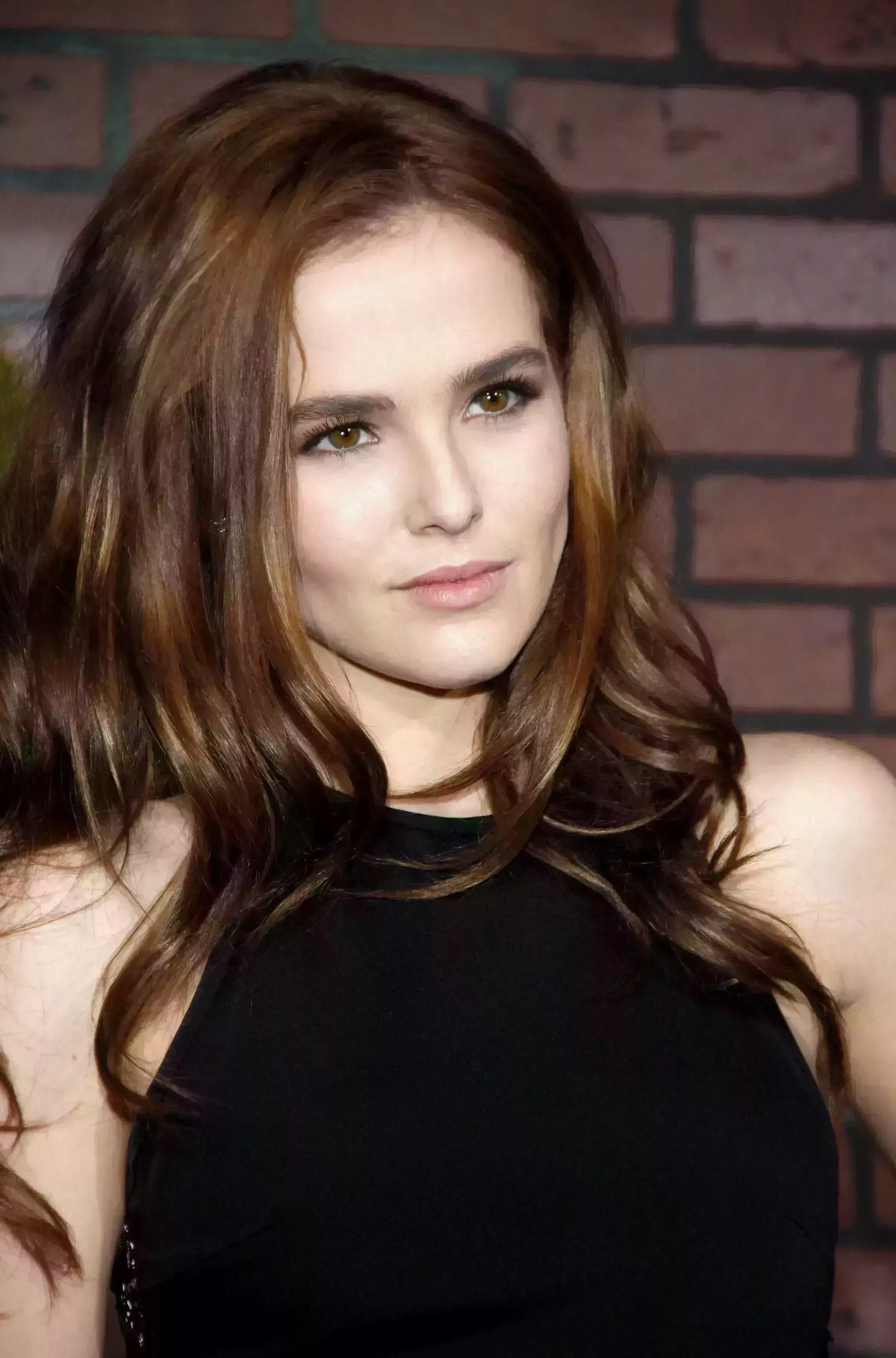 Zoey Deutch’s Chocolate Brown Hair with Caramel Highlights
